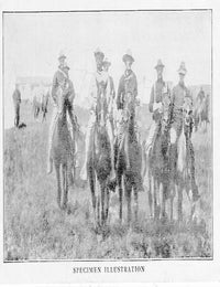 Item #16855 Theodore Roosevelt; Own Story Of His Life; Sample Illustration Post Card Advertisement Prospectus. Theodore Roosevelt, Abraham, Strauss Ad/Prospectus.